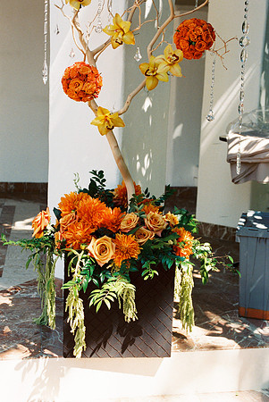 Rancho Las Lomas