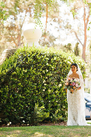 Chris + Anna
