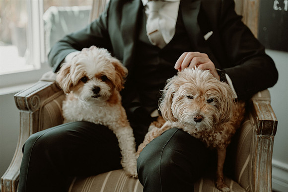 Lani + Chris