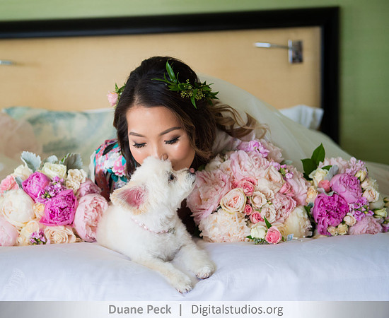 www.Digitalstudios.org, Duane Peck